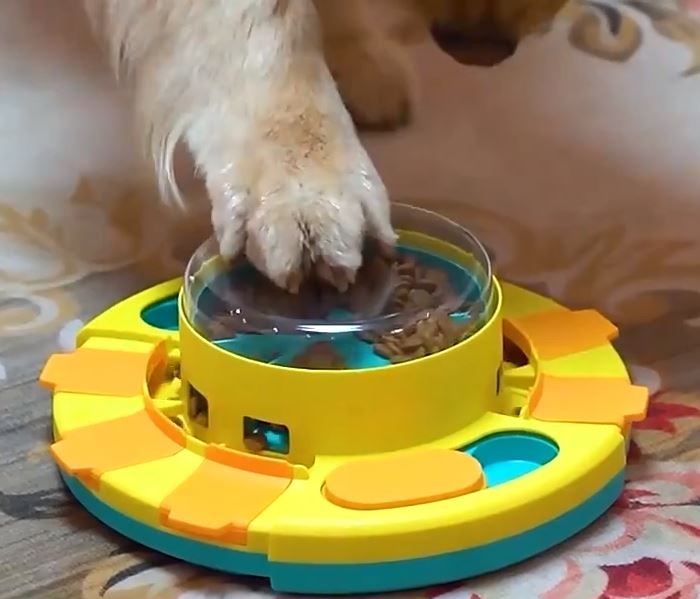 JEU INTELLIGENCE CHIEN ANTI GLOUTON | NutriPlay™