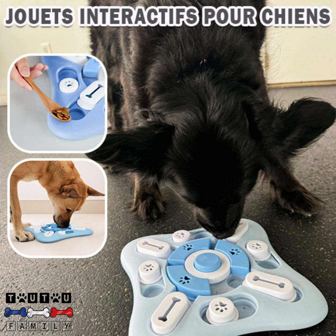 Jeu intelligent pour chien - IntelloToutou™