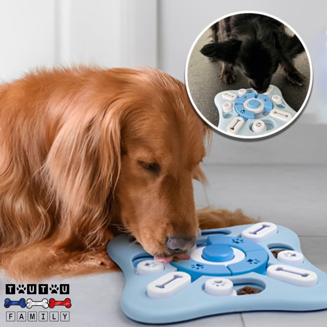Jeu intelligent pour chien - IntelloToutou™