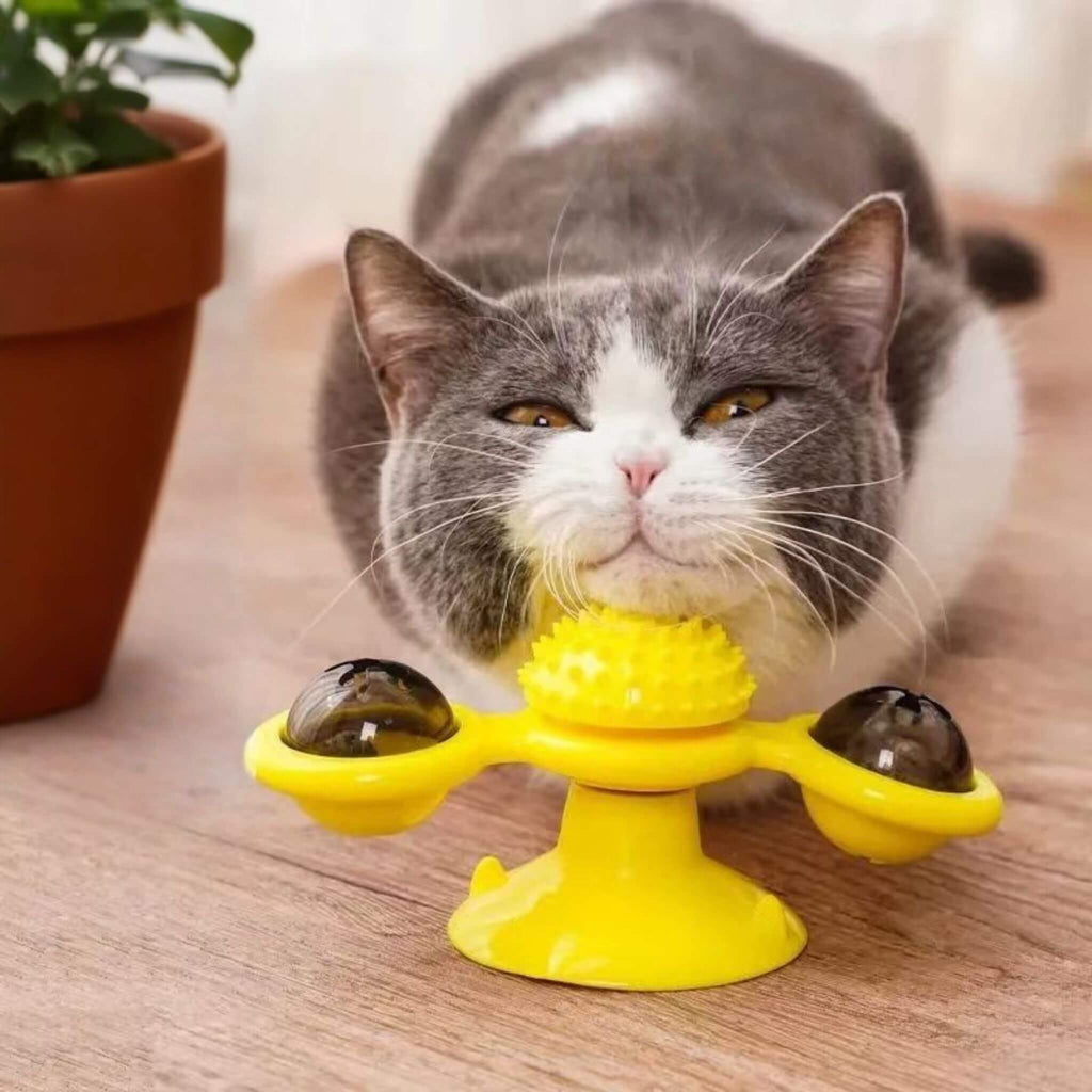 jeu interactif chat | Tourniquet