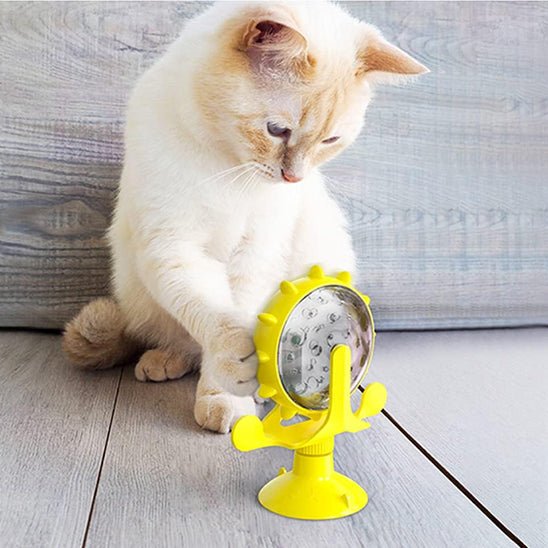 Jeu interactif chat | JOUCROC