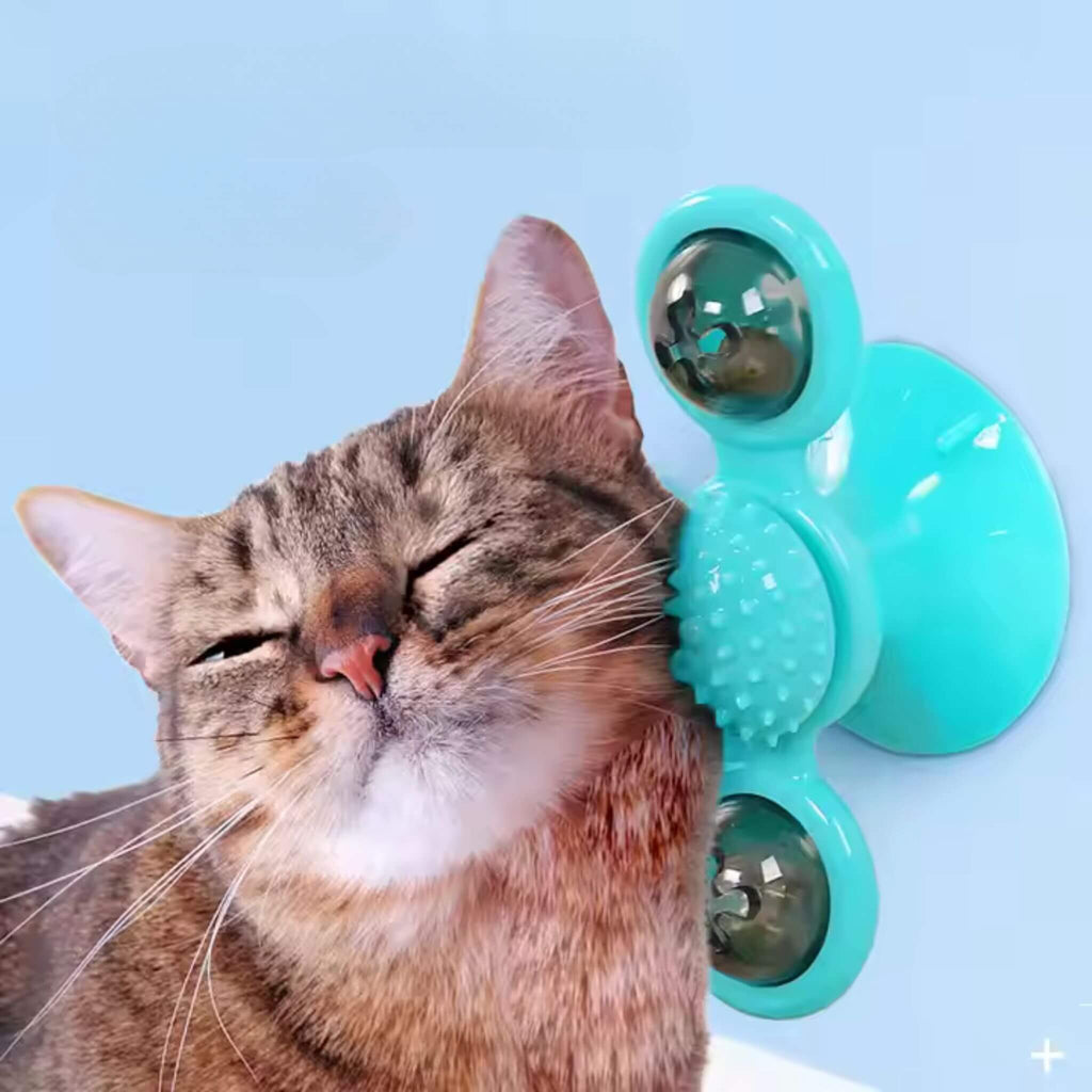 jeu interactif chat | Tourniquet