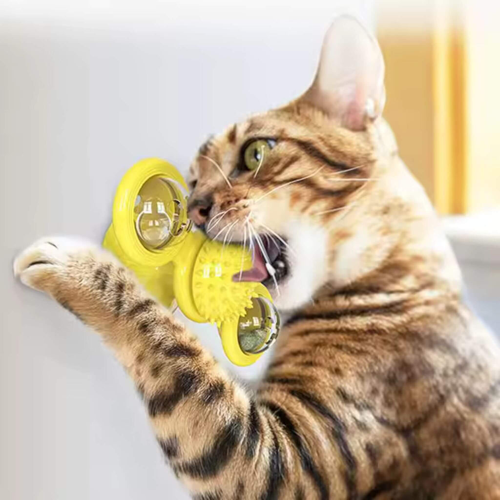 jeu interactif chat | Tourniquet