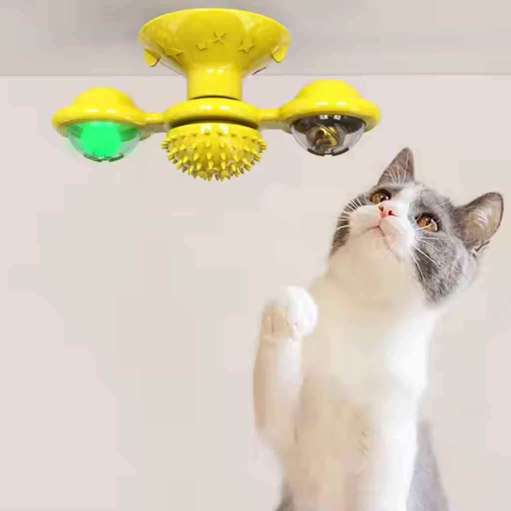 jeu interactif chat | Tourniquet