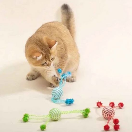 jeu pour chat | La Petite Comète
