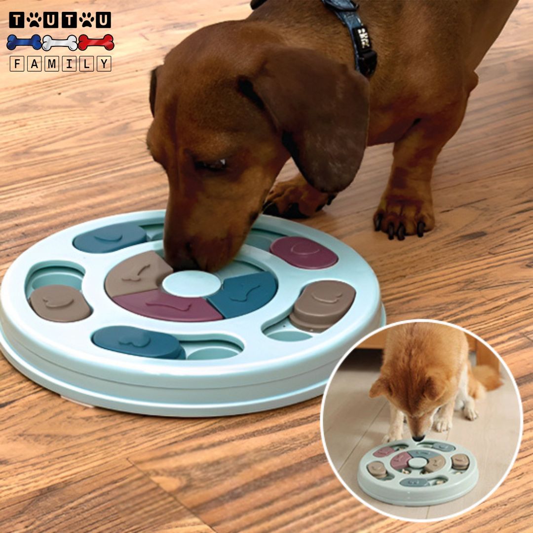 Jeu pour chien intelligent - PuzzleToutou™