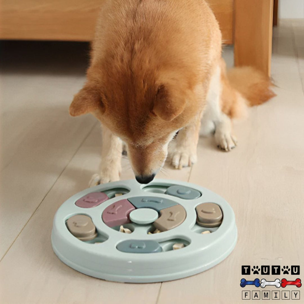 Jeu pour chien intelligent - PuzzleToutou™
