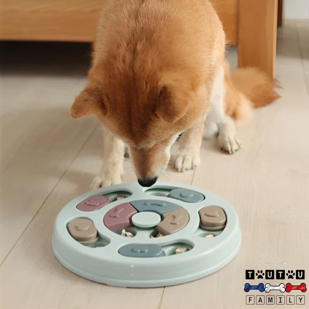 Jeu pour chien intelligent - PuzzleToutou™