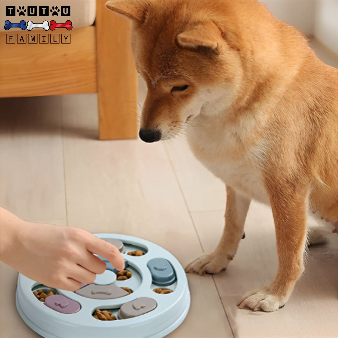 Jeu pour chien intelligent - PuzzleToutou™