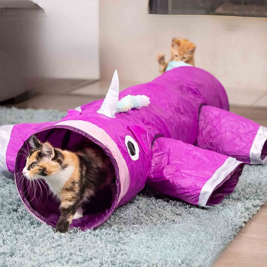 jeu tunnel chat | Rhinocéros des Chats