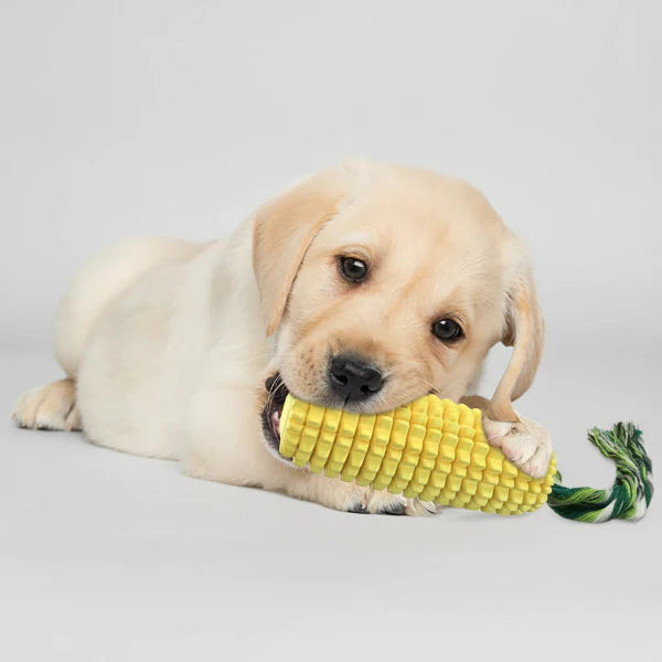 Jouet À Mâcher Chien Résistant Et Durable
