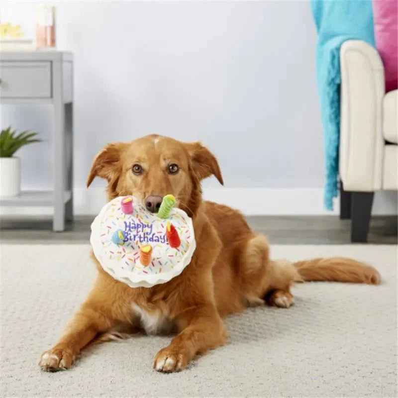 Jouet peluche anniversaire chien | Oscar et Plume