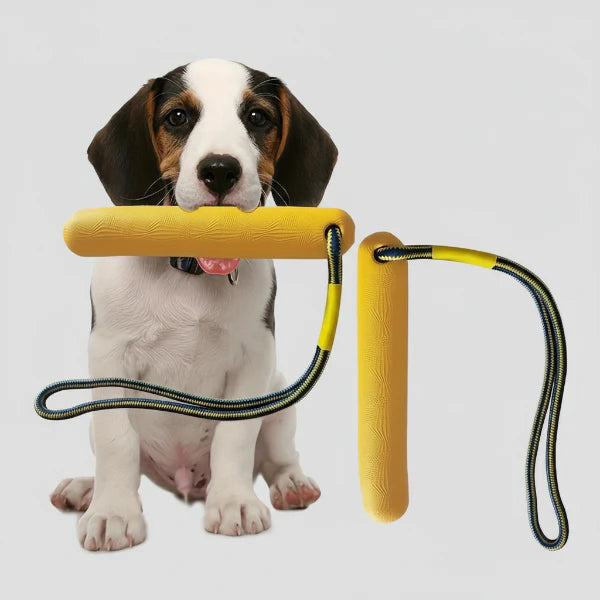 Jouet Aquatique Chien Résistant Et Flottant