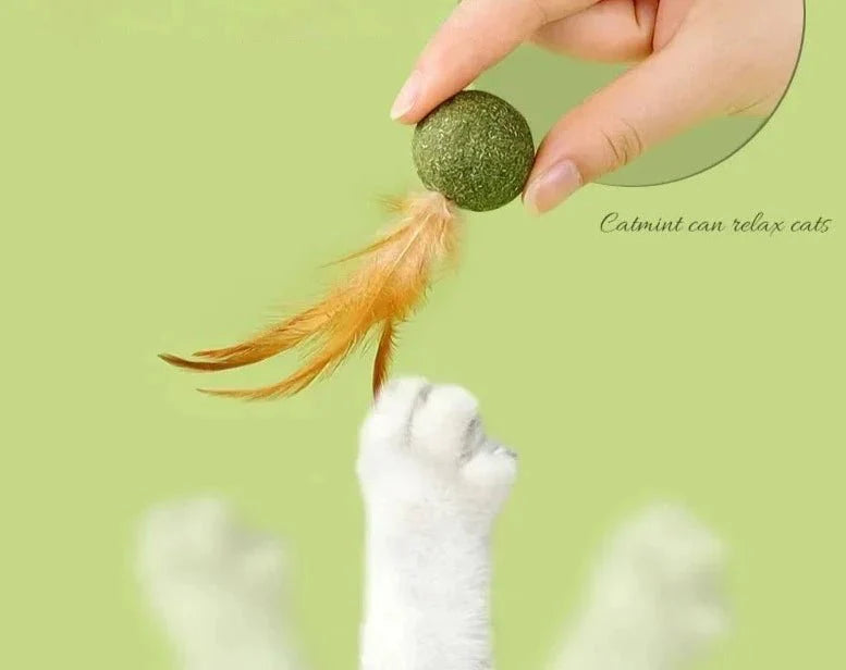 Boule Comestible Pour Chat Avec Plumes
