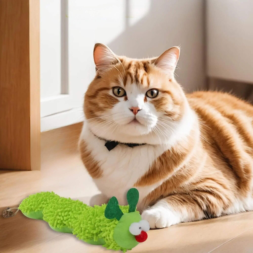 jouet chat  | Chenille Herbacée