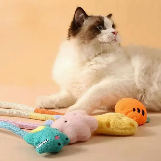 jouet chat  |  Doudou Corde Dentition