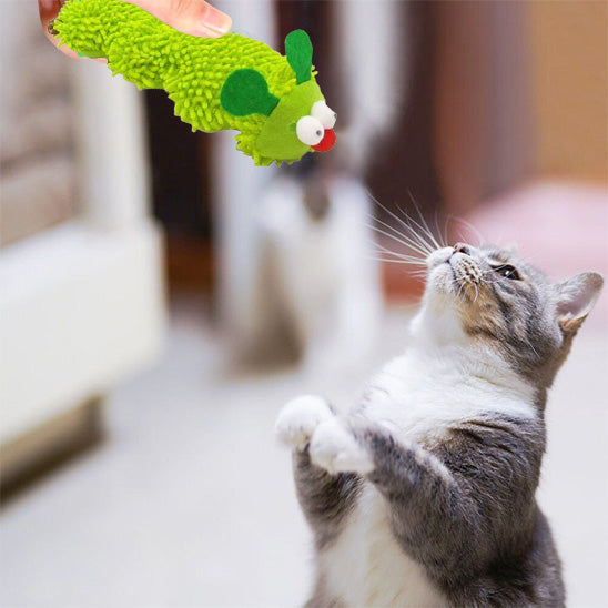 jouet chat  | Chenille Herbacée