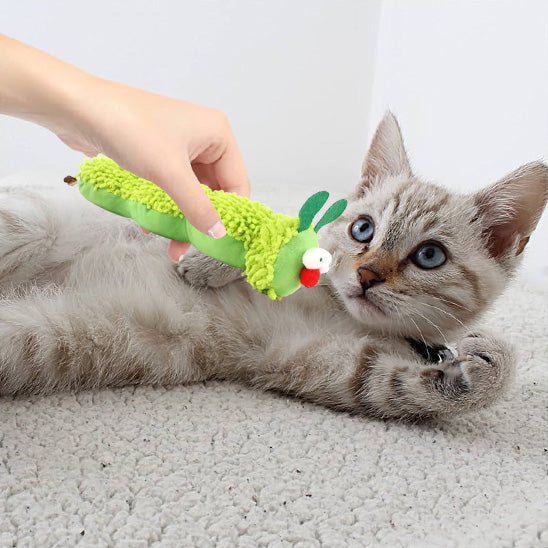jouet chat  | Chenille Herbacée
