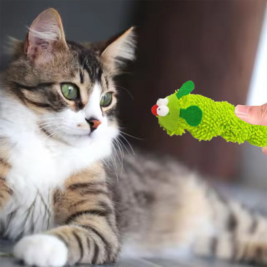 jouet chat  | Chenille Herbacée