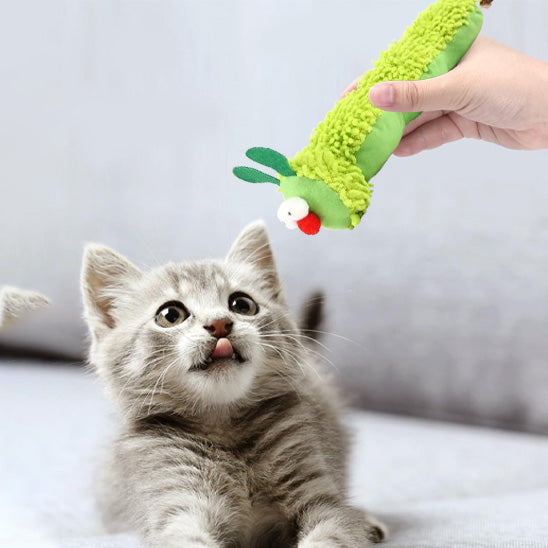 jouet chat  | Chenille Herbacée