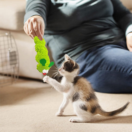 jouet chat  | Chenille Herbacée