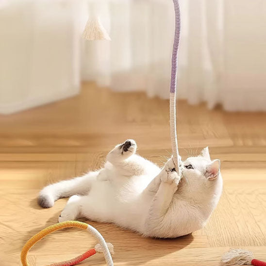 jouet chat  |  Doudou Corde Dentition