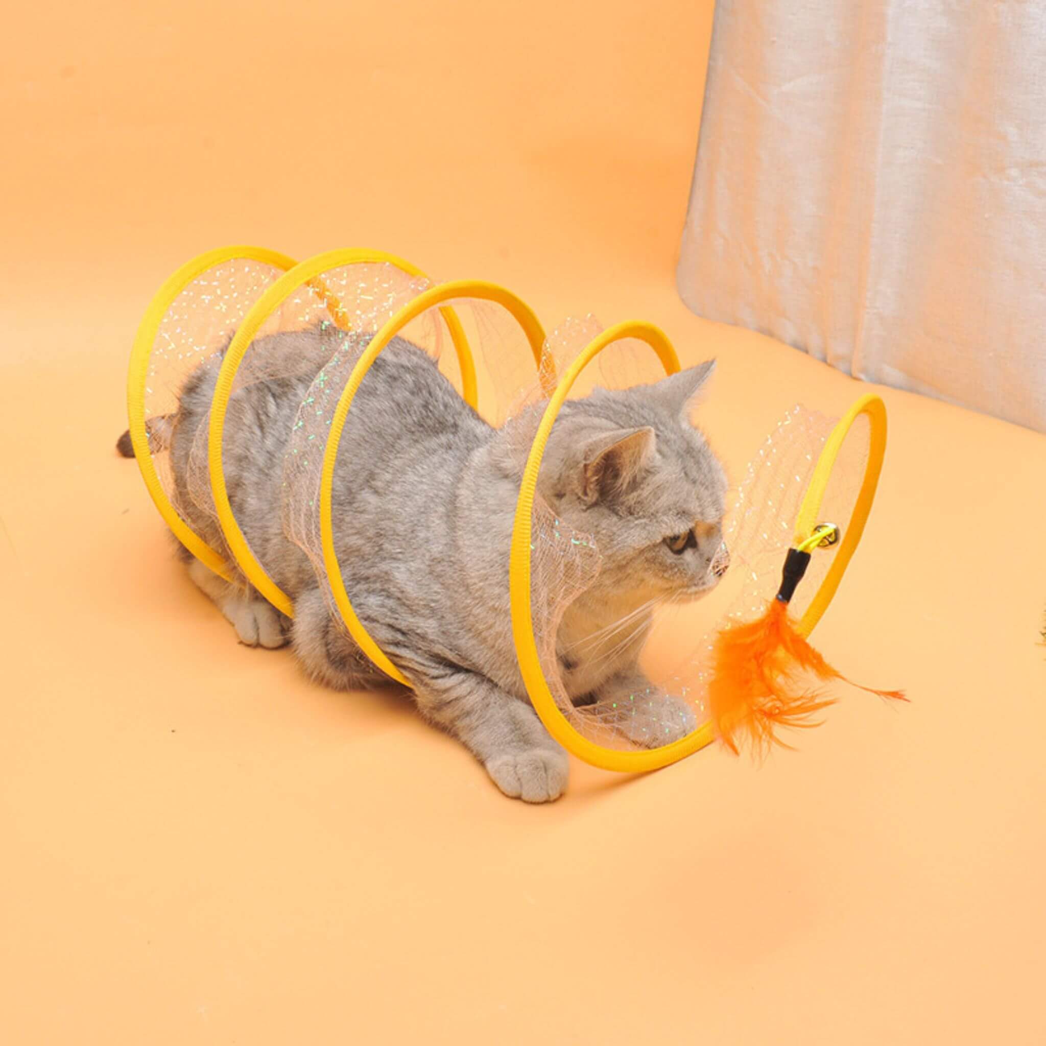 jouet chat  | Curieux Tourbillon