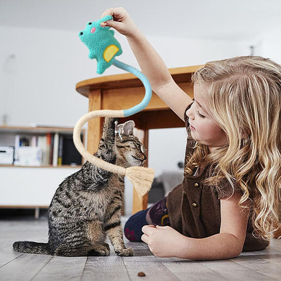 jouet chat  |  Doudou Corde Dentition