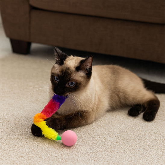 jouet chat interactif | Balle folle Chenille