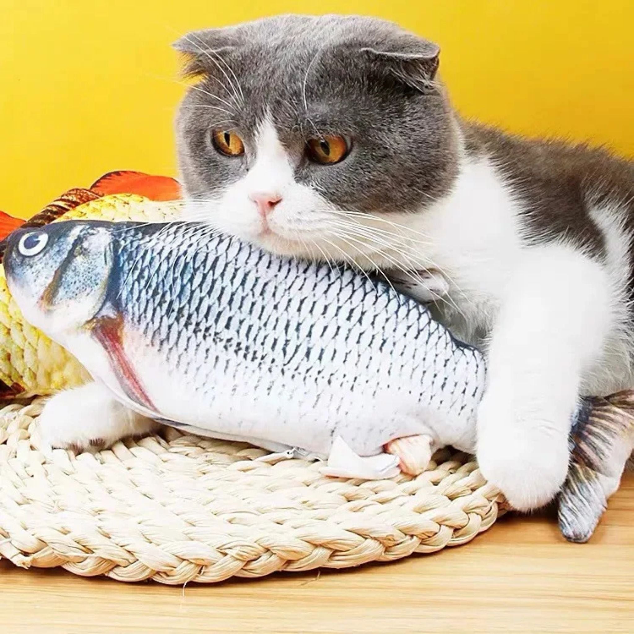 jouet chat interactif | JOUFISH