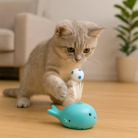 jouet chat interactif | Baleine Balle Flottante