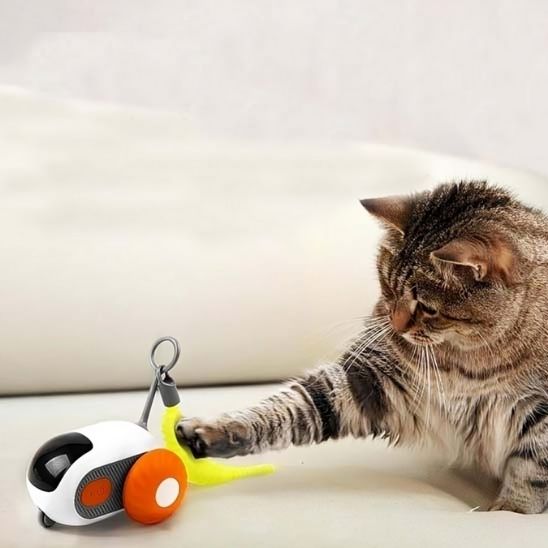 jouet chat interactif | Voiture Curieuse