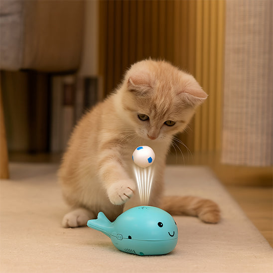 jouet chat interactif | Baleine Balle Flottante