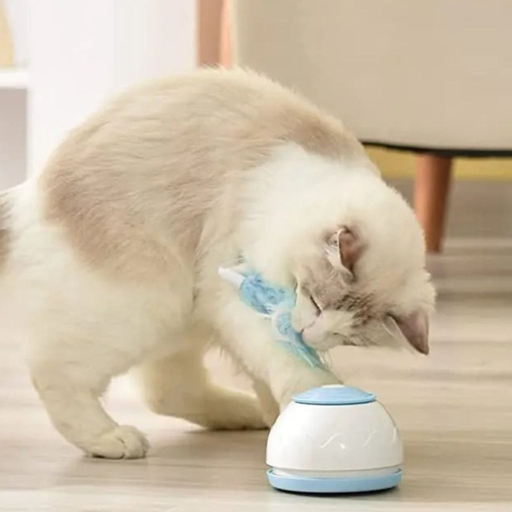 jouet chat intercatif | JOUTAPIS