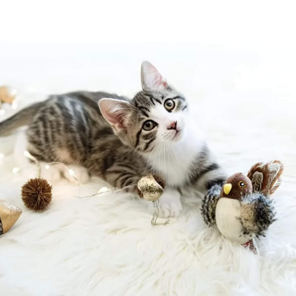 jouet chat interactif | Plume Enchantée