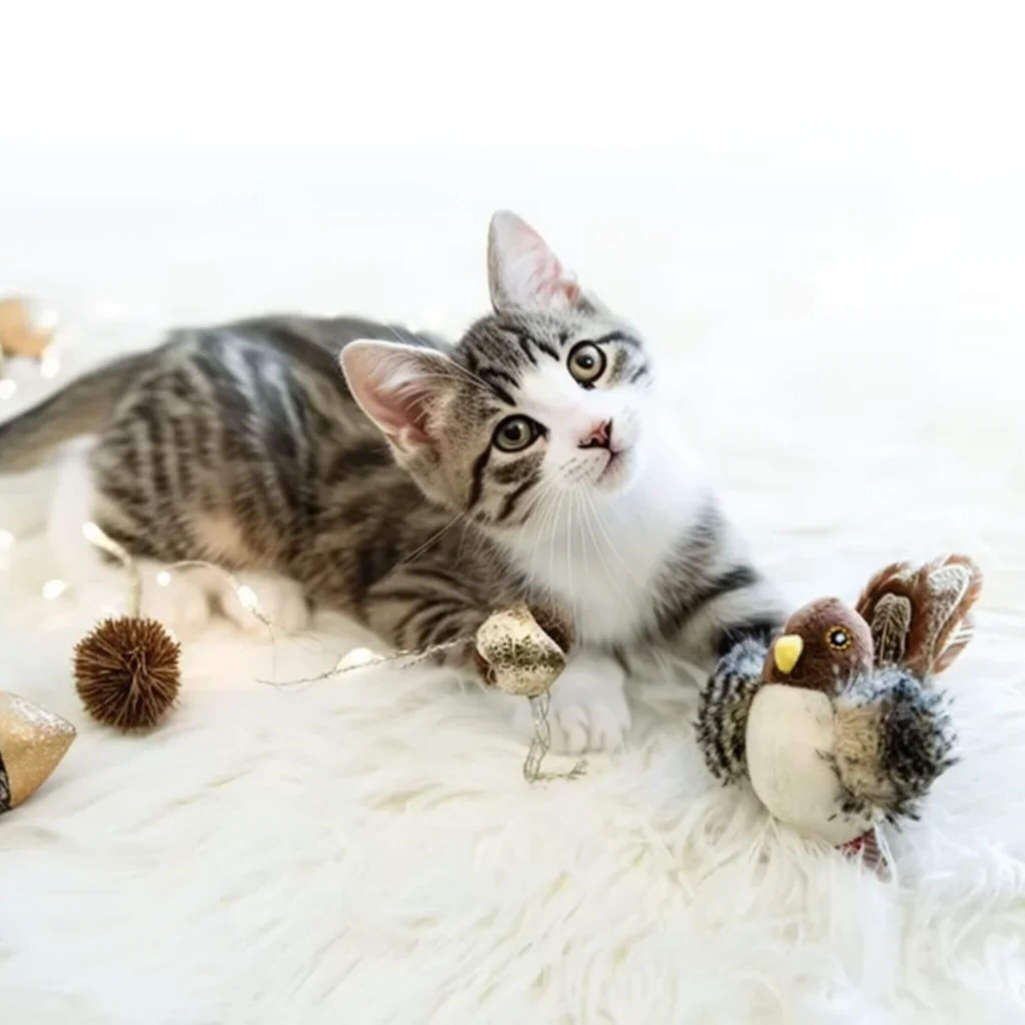 jouet chat interactif | Plume Enchantée