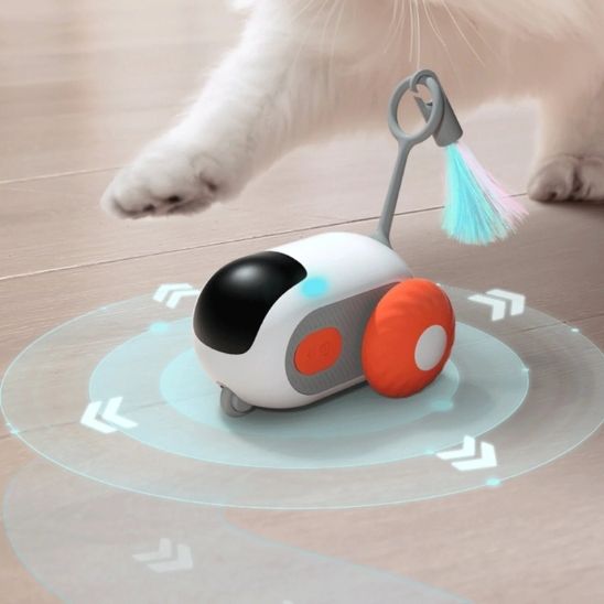 jouet chat interactif | Voiture Curieuse