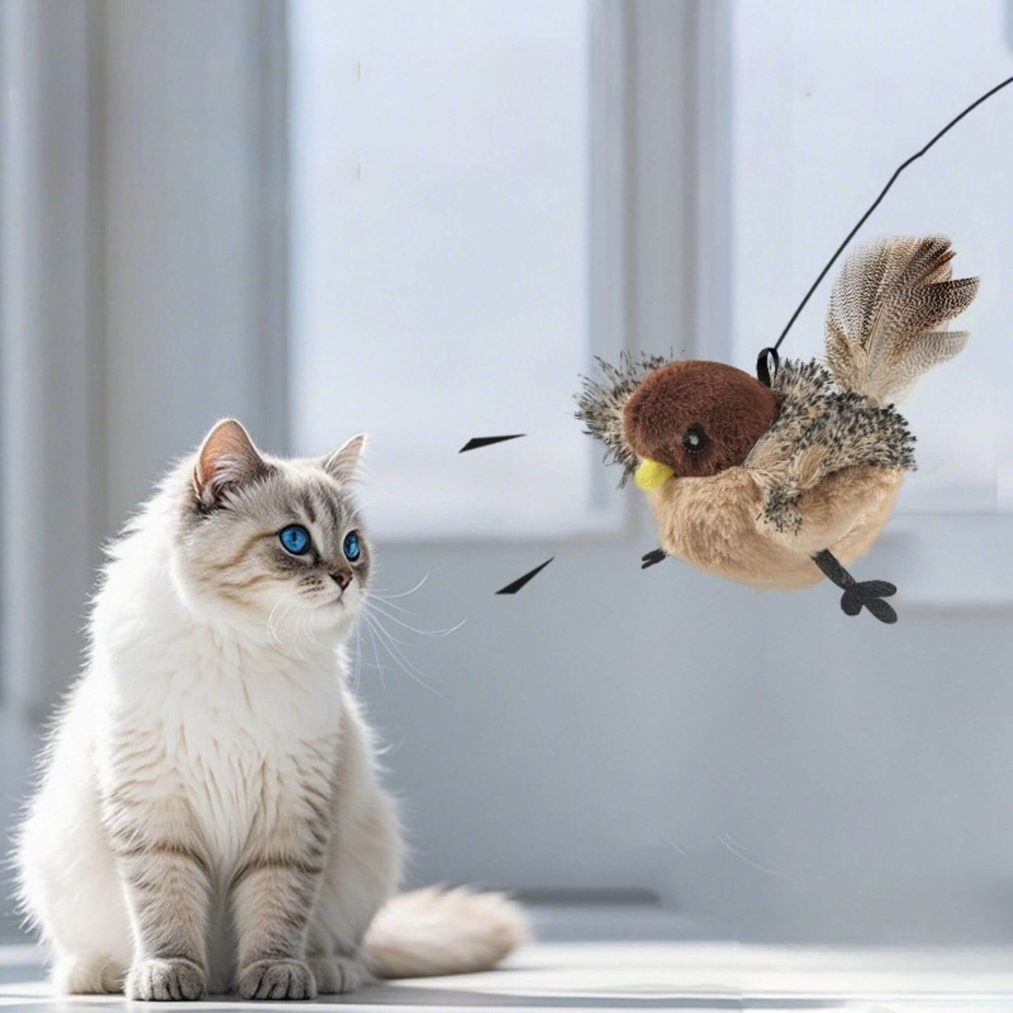 jouet chat interactif | Plume Enchantée
