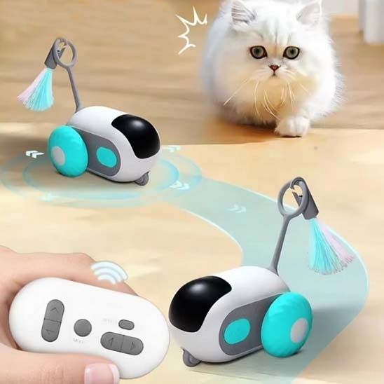 jouet chat interactif | Voiture Curieuse