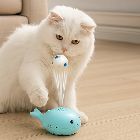 jouet chat interactif | Baleine Balle Flottante