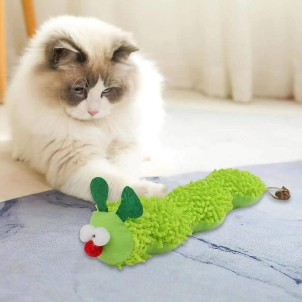 jouet chat  | Chenille Herbacée