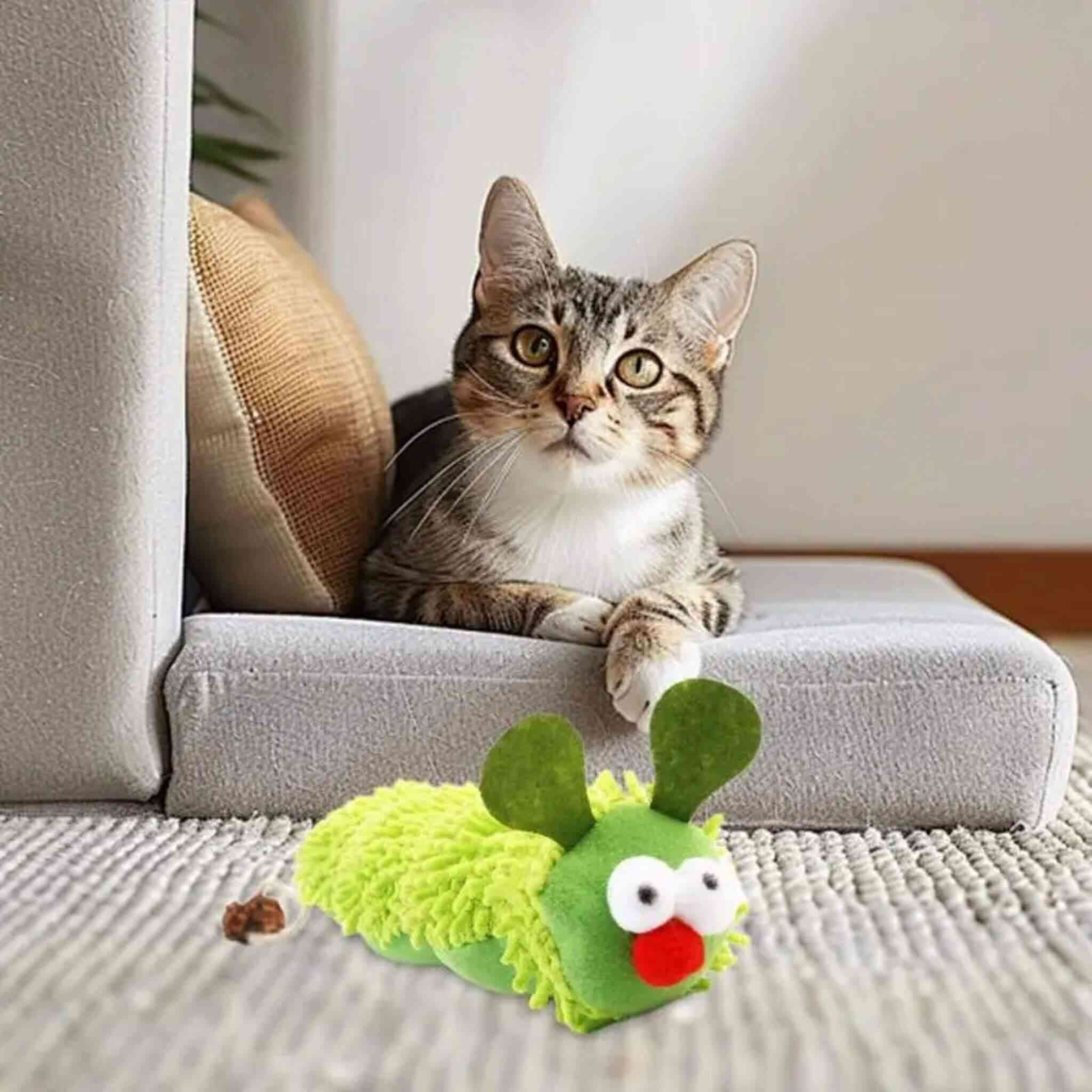jouet chat  | Chenille Herbacée