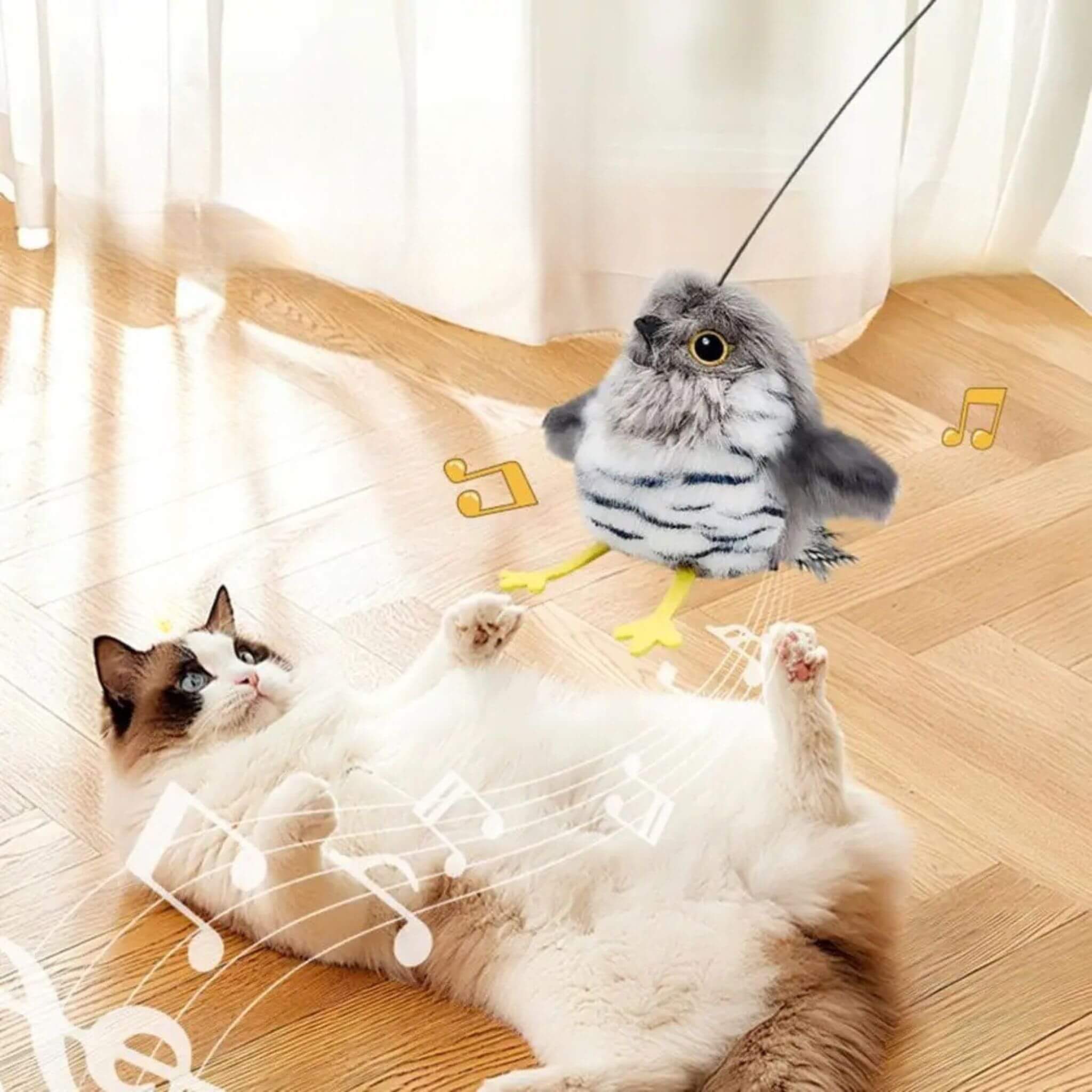jouet chat oiseau volant | Chant des oiseaux