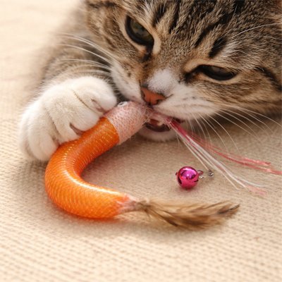 Jouet chat | Attrap’Crevette