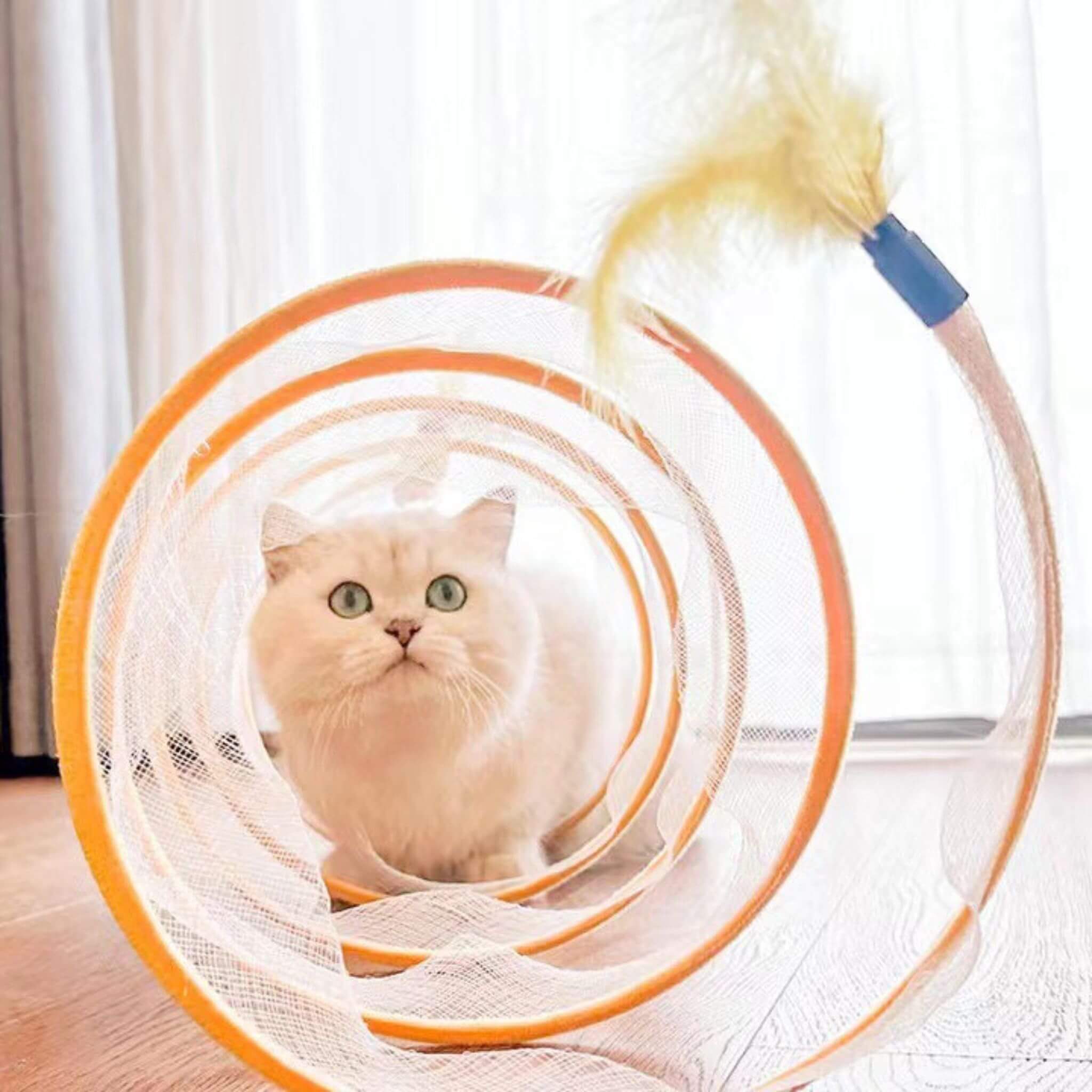 jouet chat  | Curieux Tourbillon