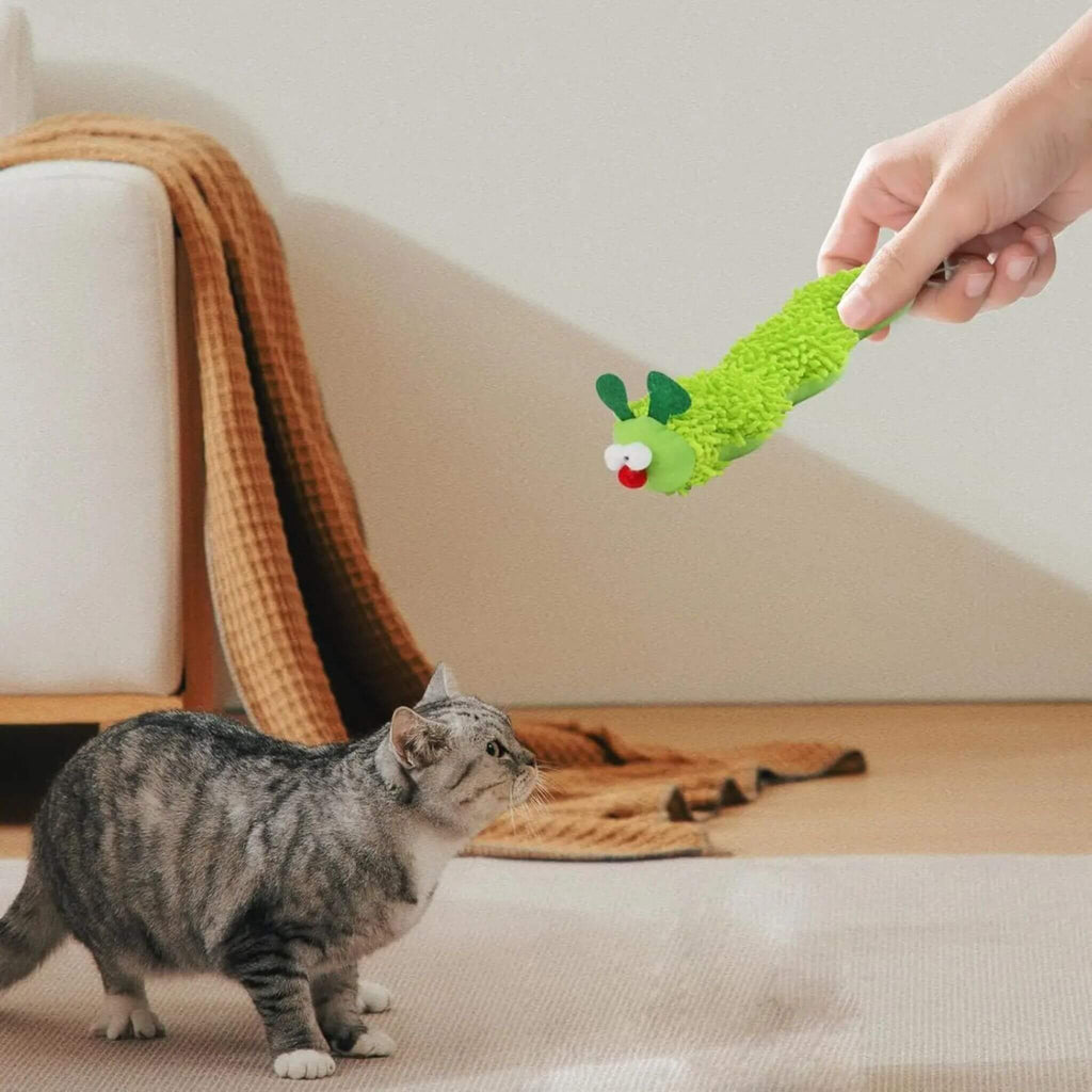 jouet chat  | Chenille Herbacée