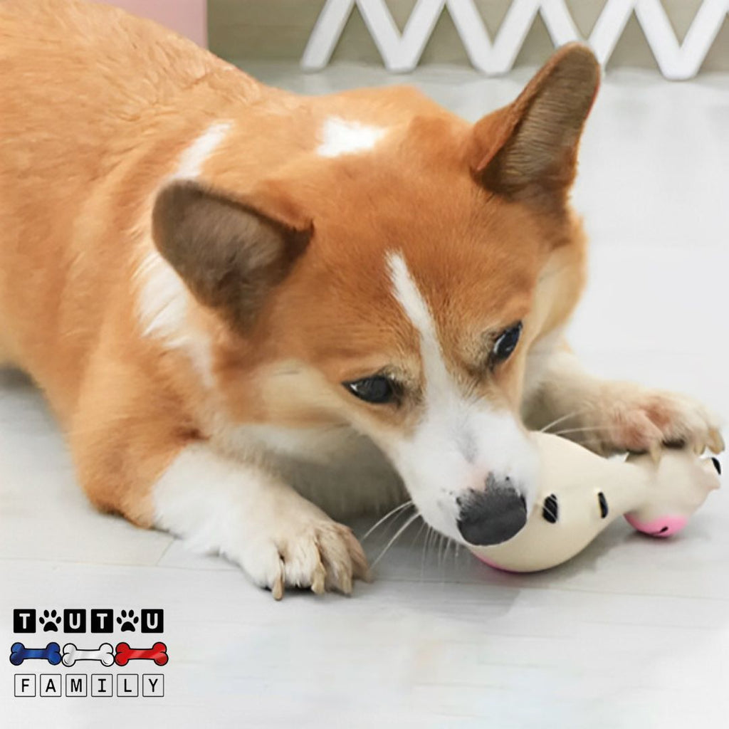Jouet chien - CouineToutou™