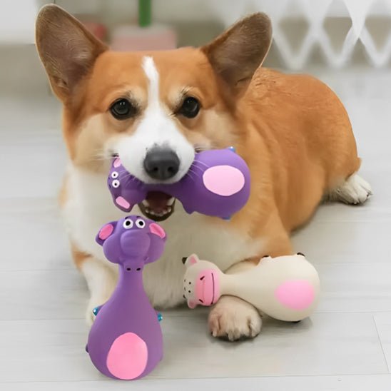 Jouet chien - CouineToutou™