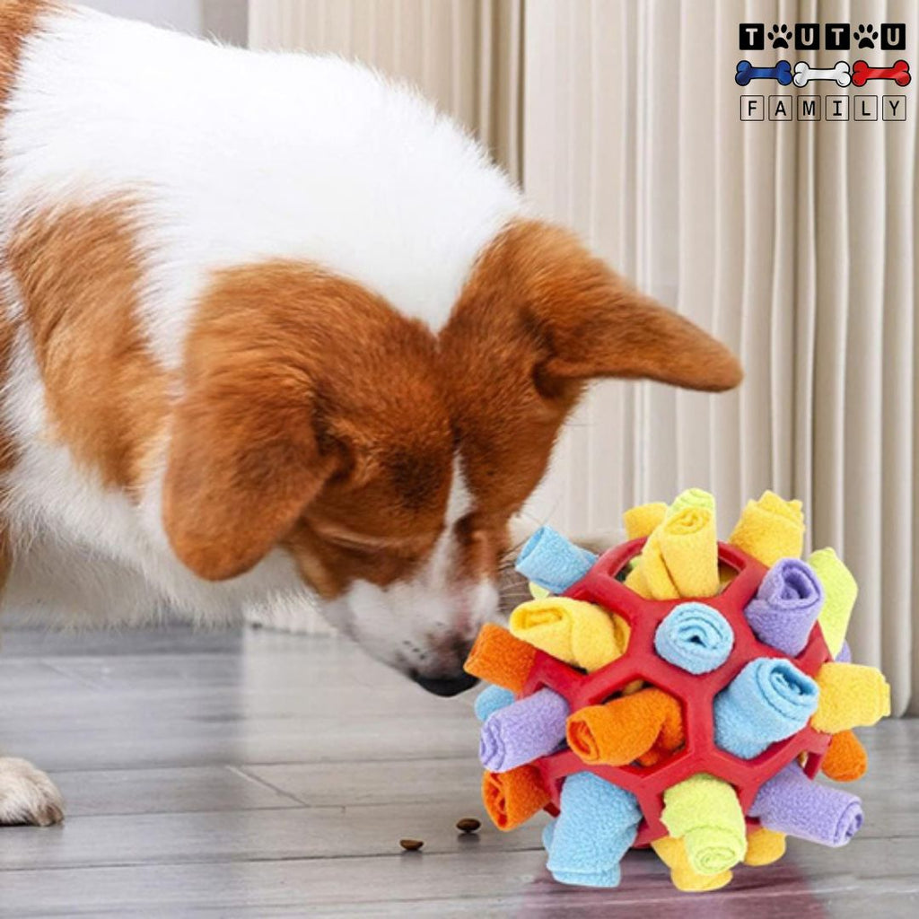 Jouet chien de fouille - RenifleToutou™