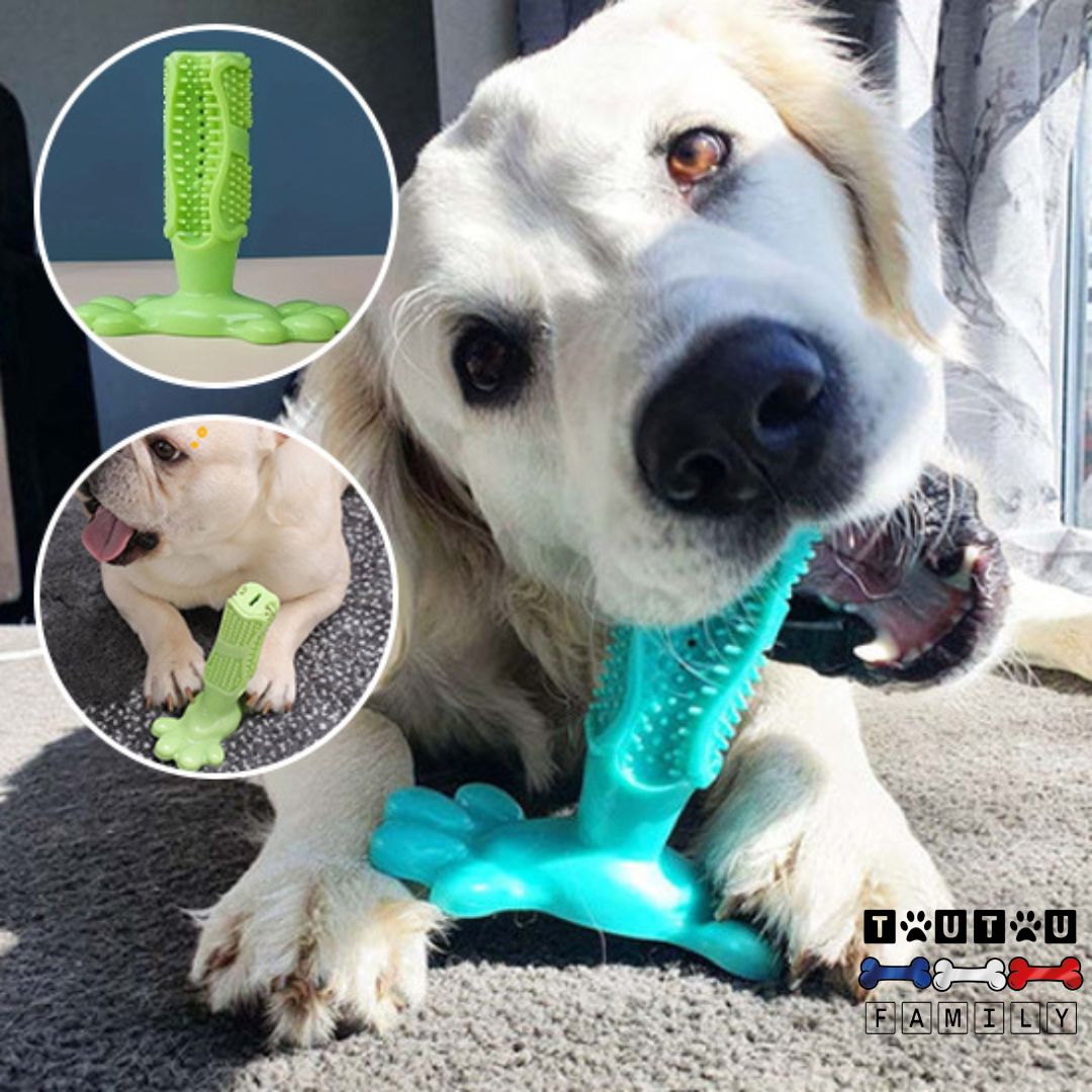 Jouet chien - DentaireToutou™